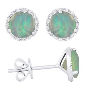 Madison L 14k White Gold Opal Earrings