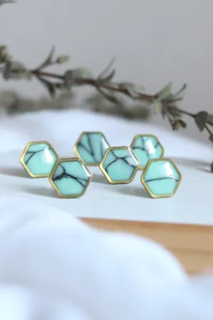 Robins Egg Studs