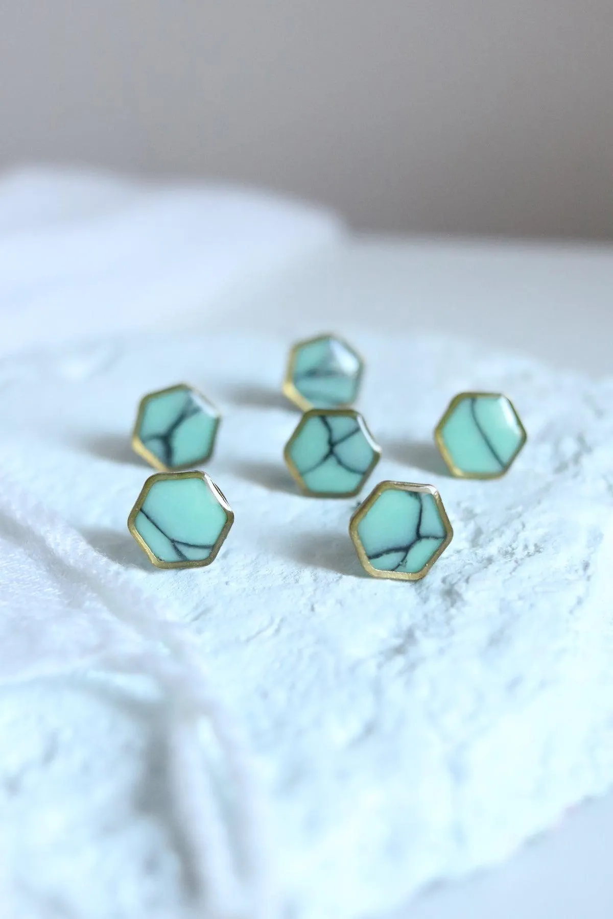 Robins Egg Studs